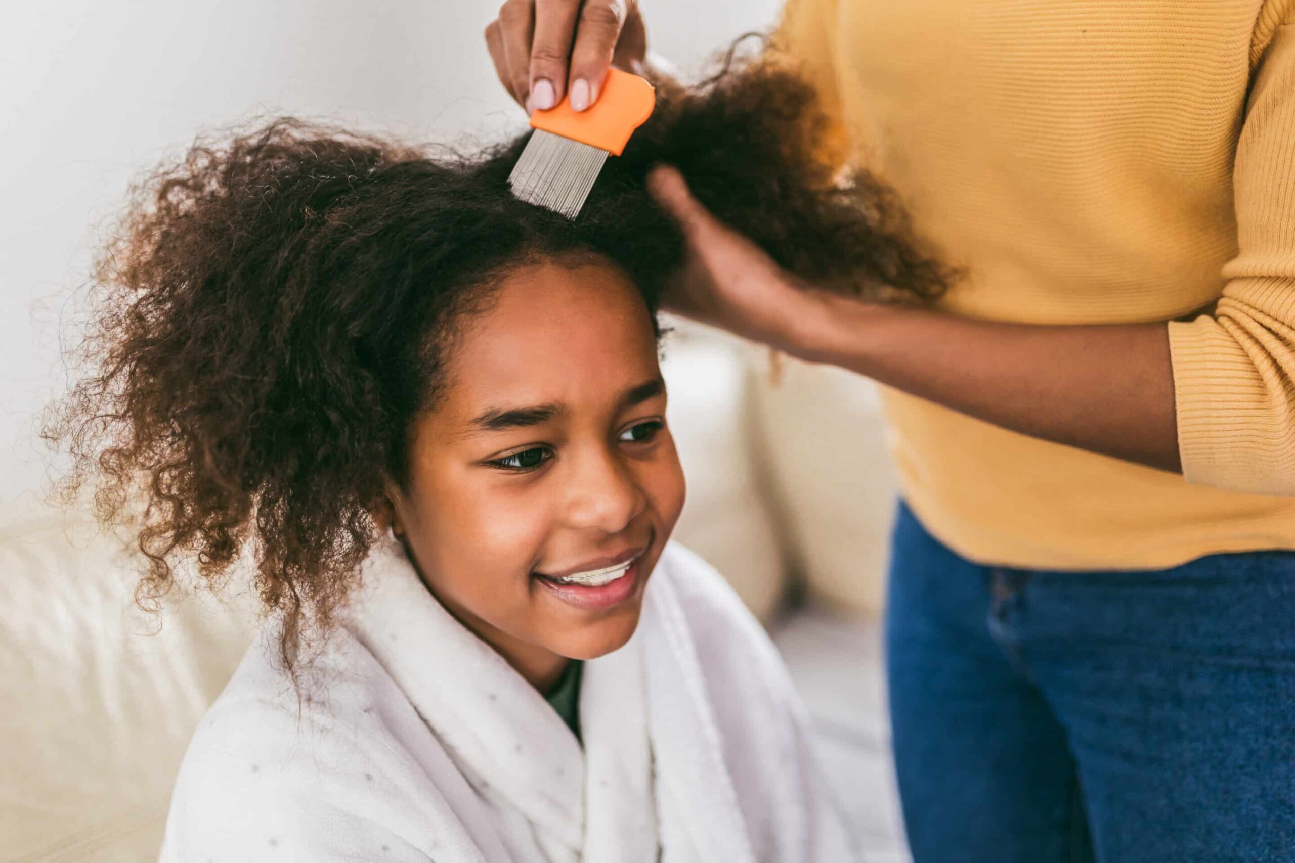 Everything you need to know about Lice!
