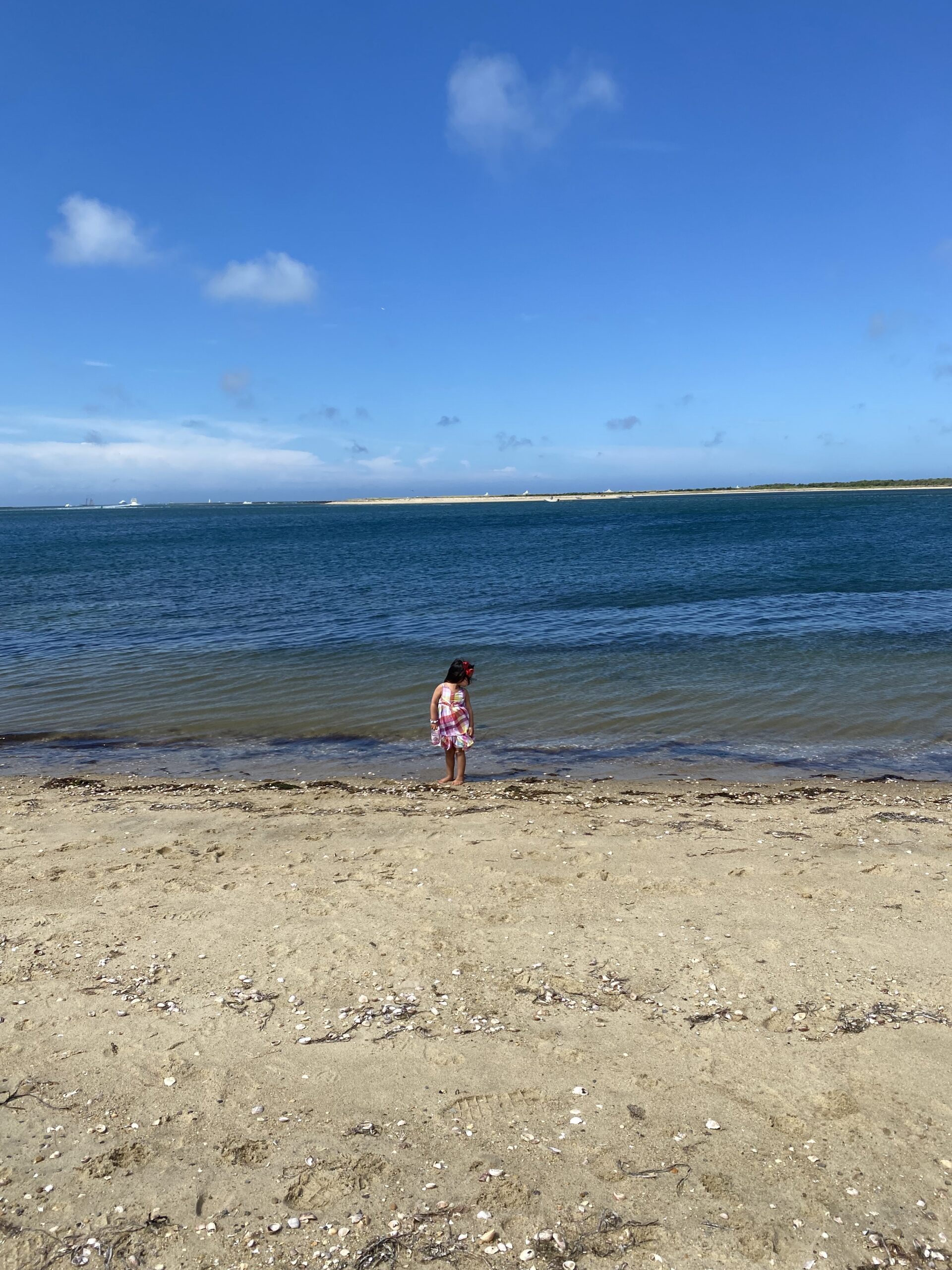 Favorite Cape Cod Family Activities